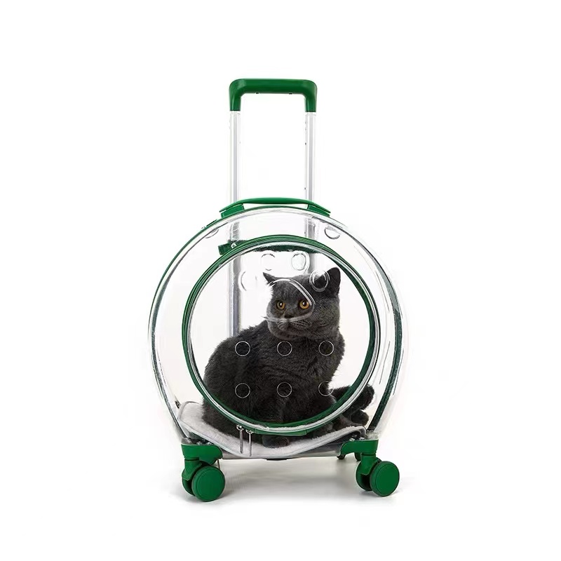 https://www.dwluggage.com/pet-travel-carrier-For-For-For-For-For-For-For-fMall-Medium- פול-טראַנספּאַרענטי- פּראַסטאַקשאַן / פּראַסטאַקשאַן / פּראַסטאַקשאַן/