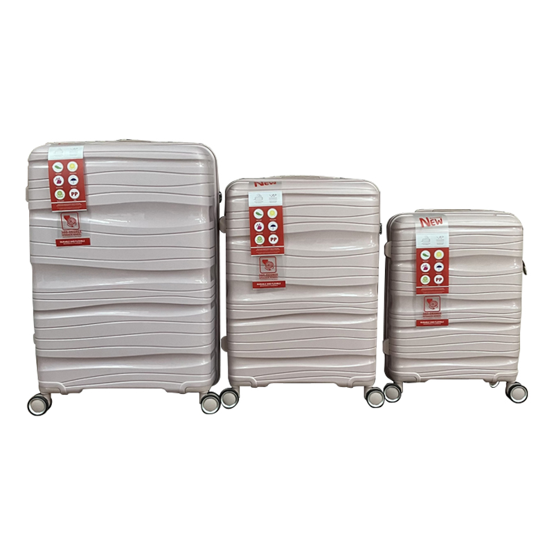 Carry On Luggage Sets  (9)