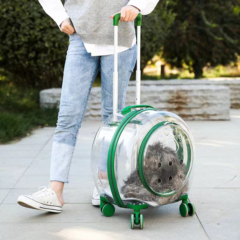 Pet Travel Carrier for Small  (2)